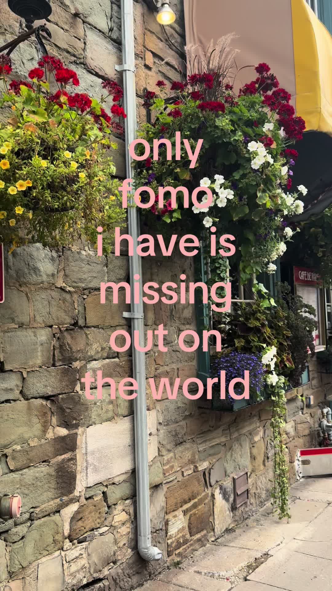 @user2456522672