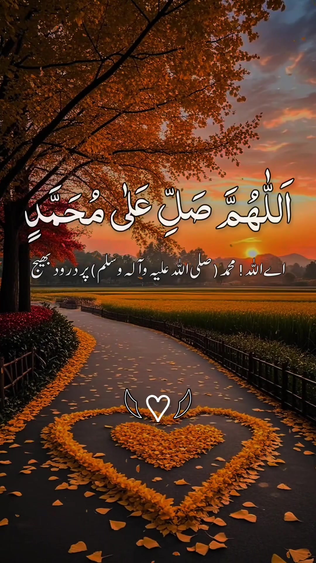 @❣️ Words of Allah ❣️