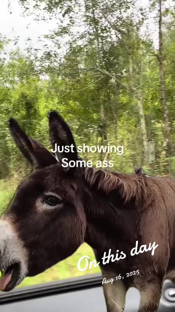 @marla3177