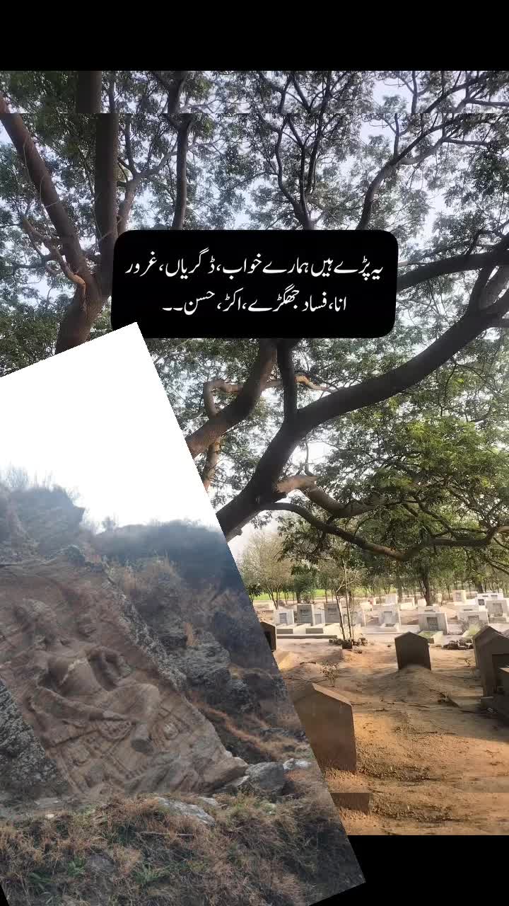 @zahidali4701