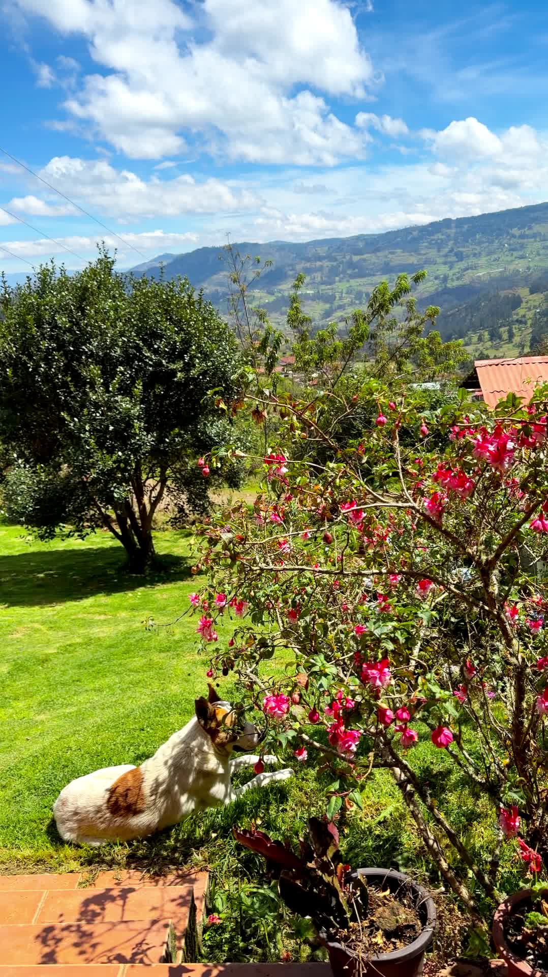 @PaulMaxOficial