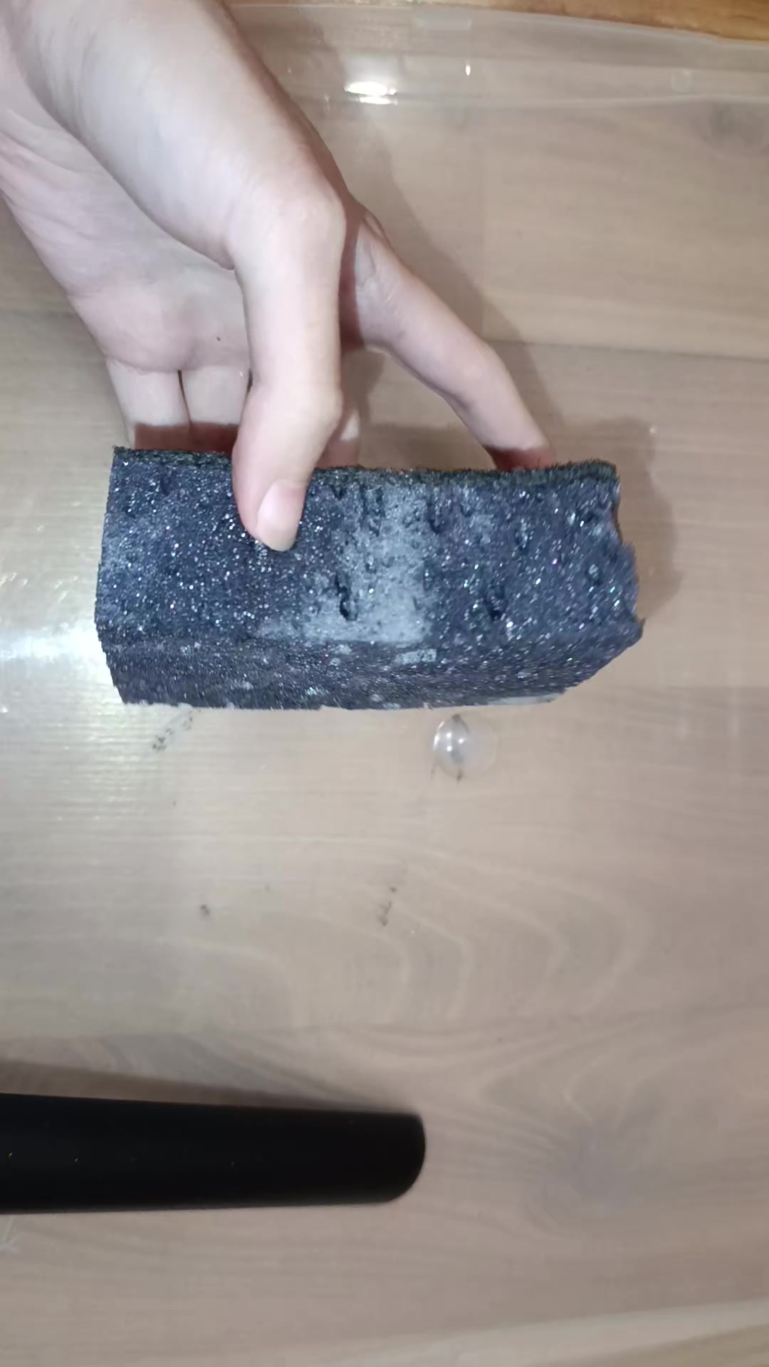 @squirrel 🐿️