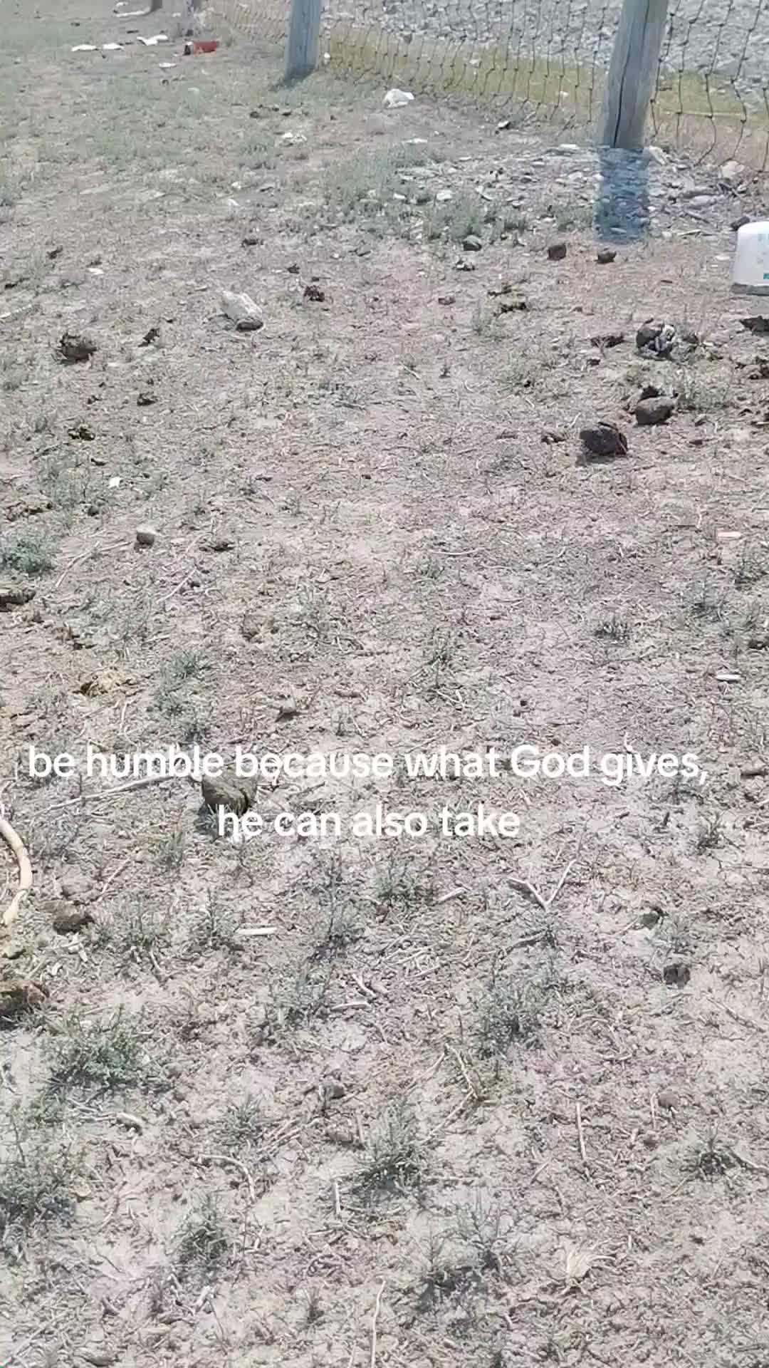 @✝️ Locally_hatedJustin✝️🇺🇸💲
