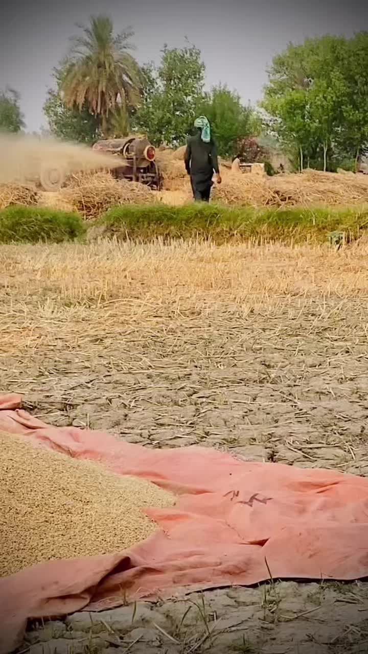 @Hamadراجپوت🚩