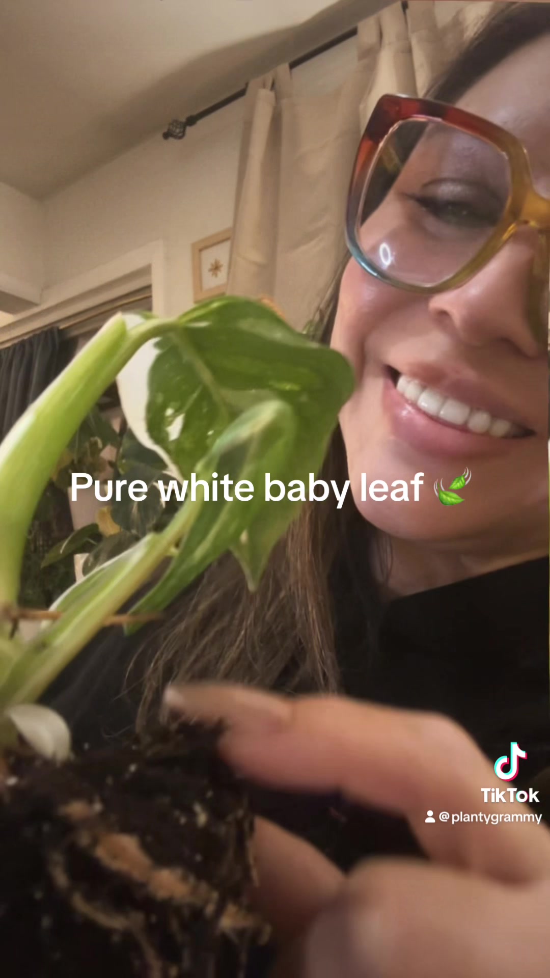 @Planty Grammy