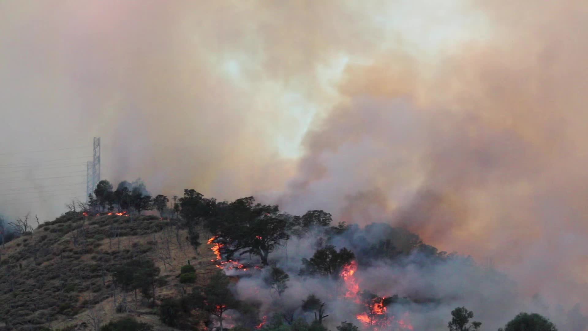 @calfire.hub