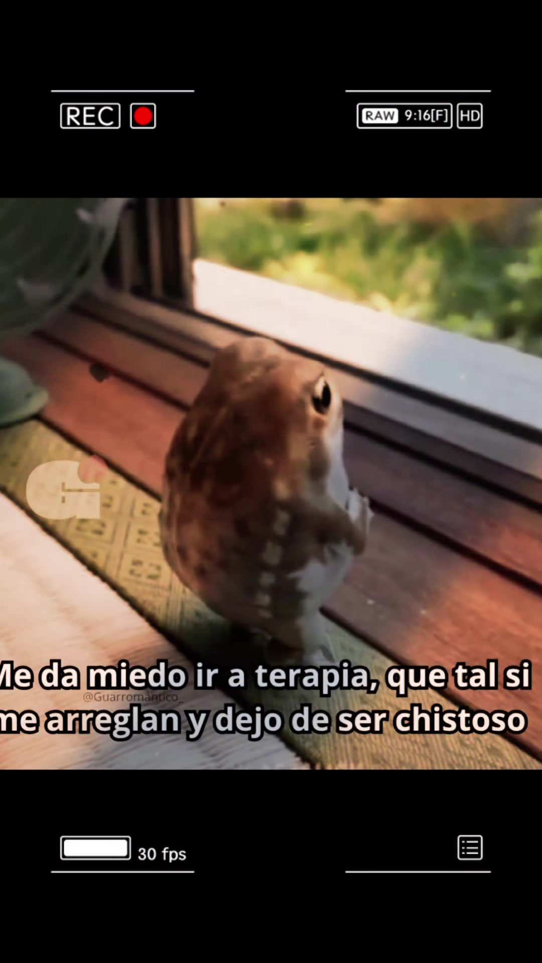 @Dulce Arias