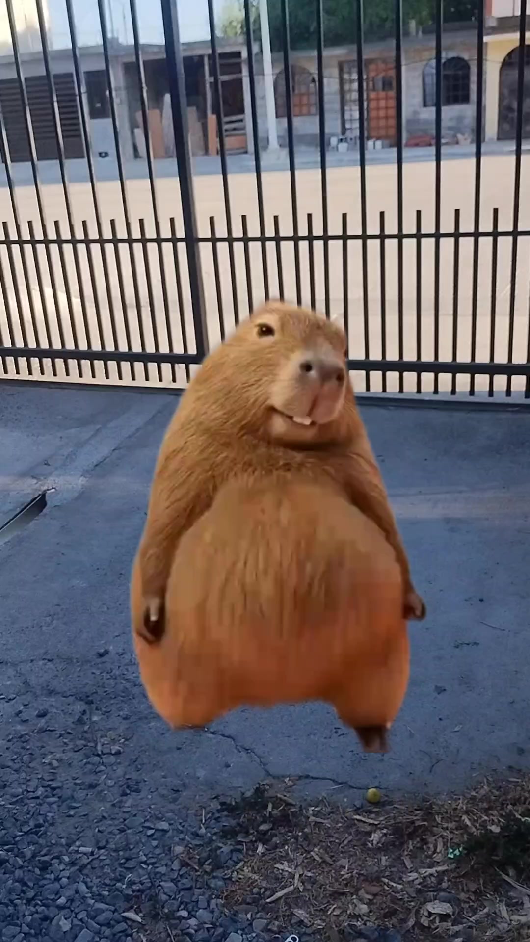 @juanlara