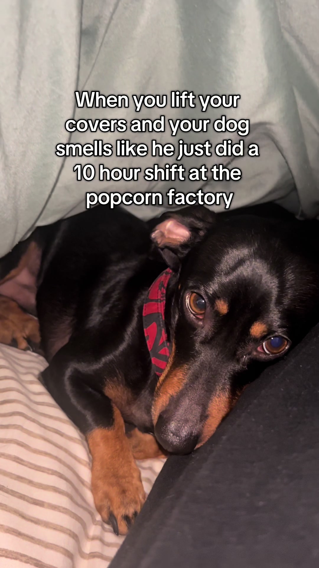 @maxxandricky_