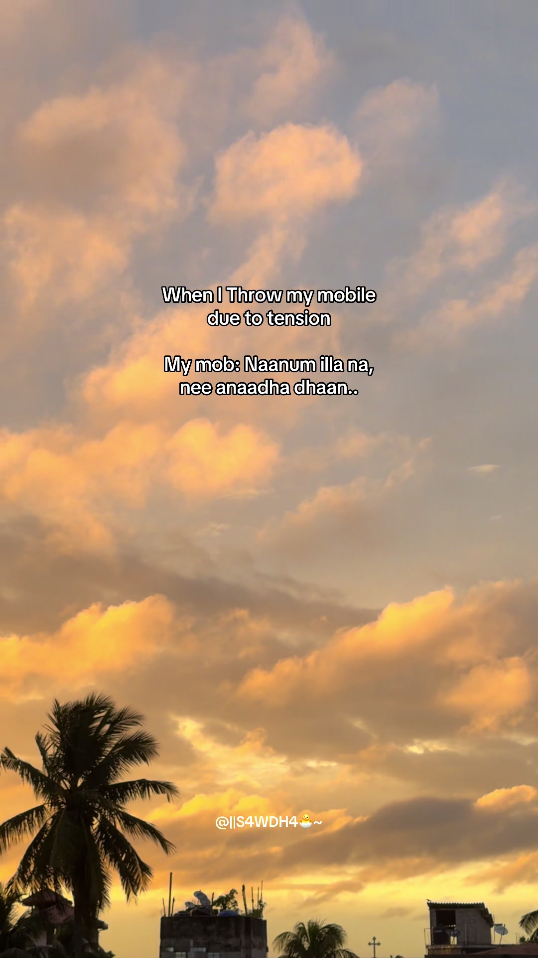 @||S4WDH4🐣~