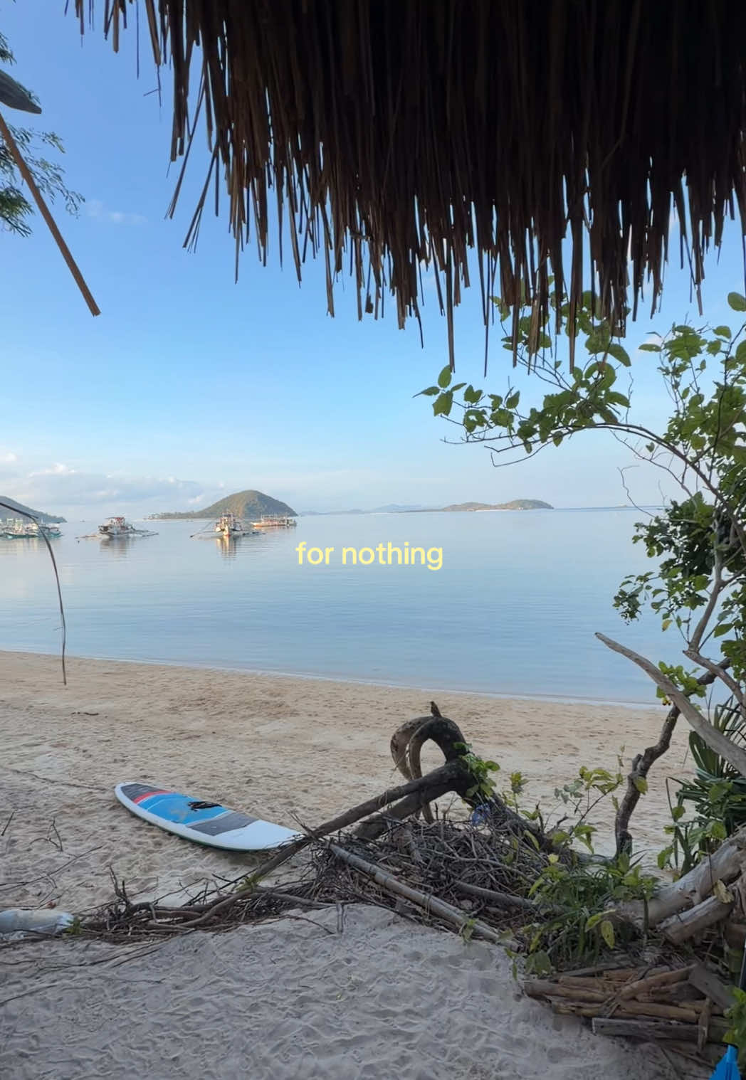 @Angelina 𖦹