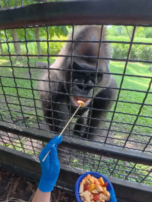 @The Toledo Zoo