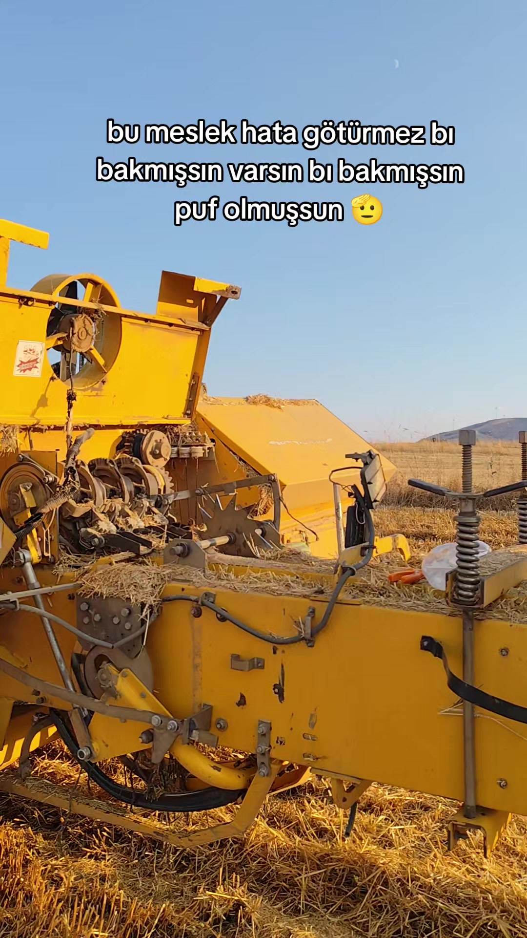 @Musa Günel