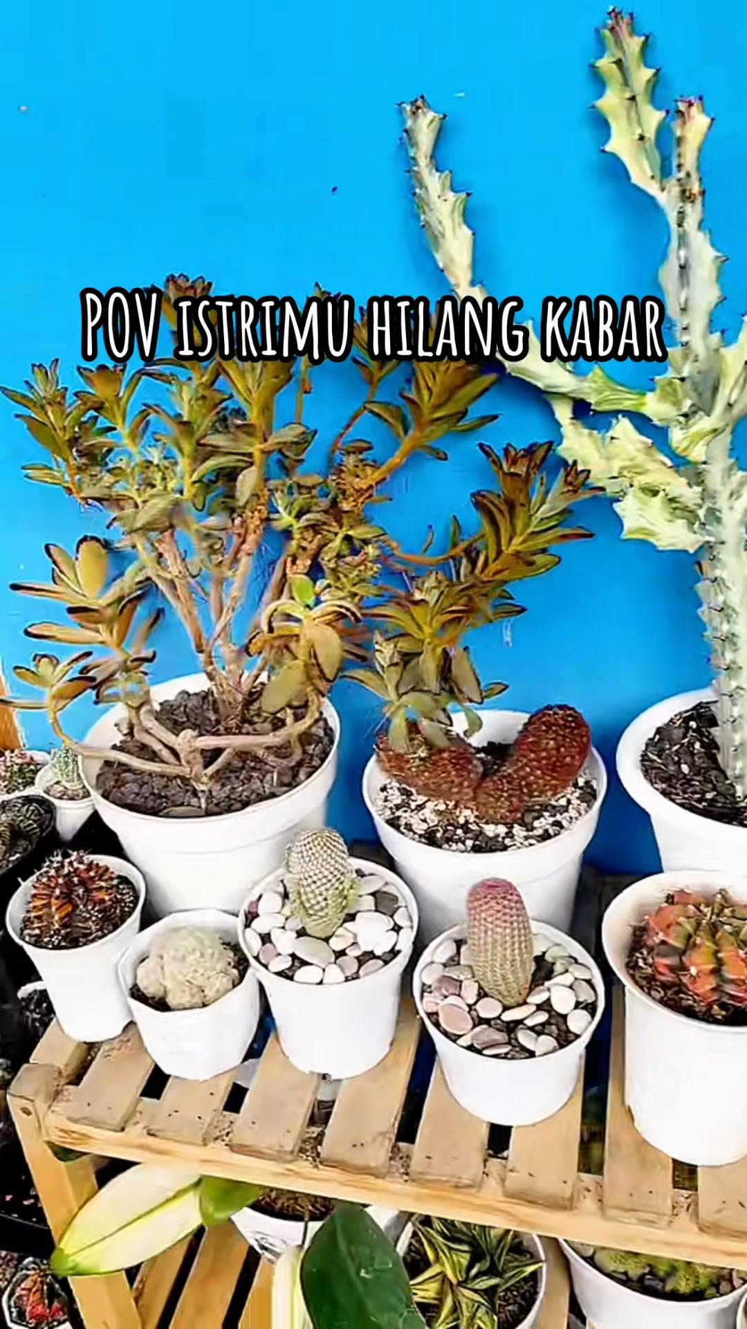 @Nina Palupi