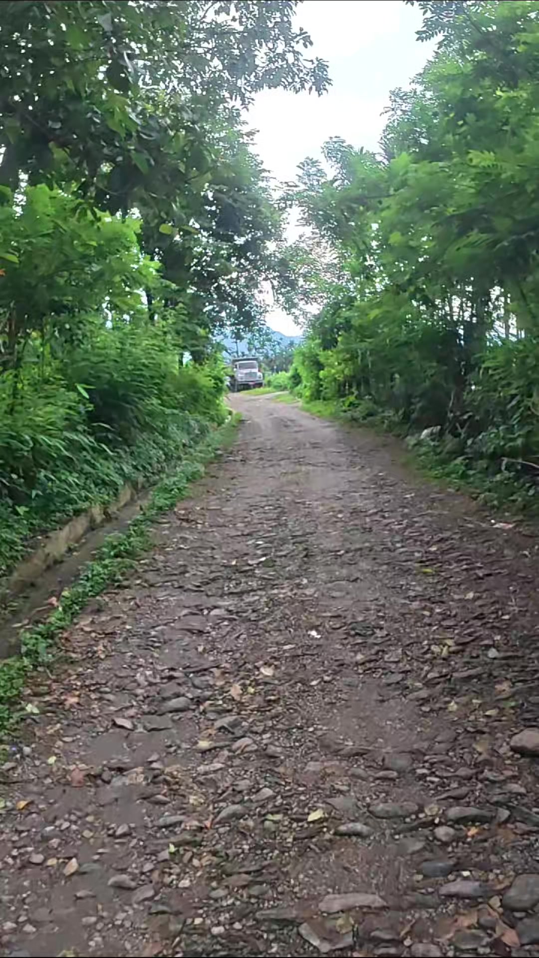 @Fast_Furious__@🇧🇹