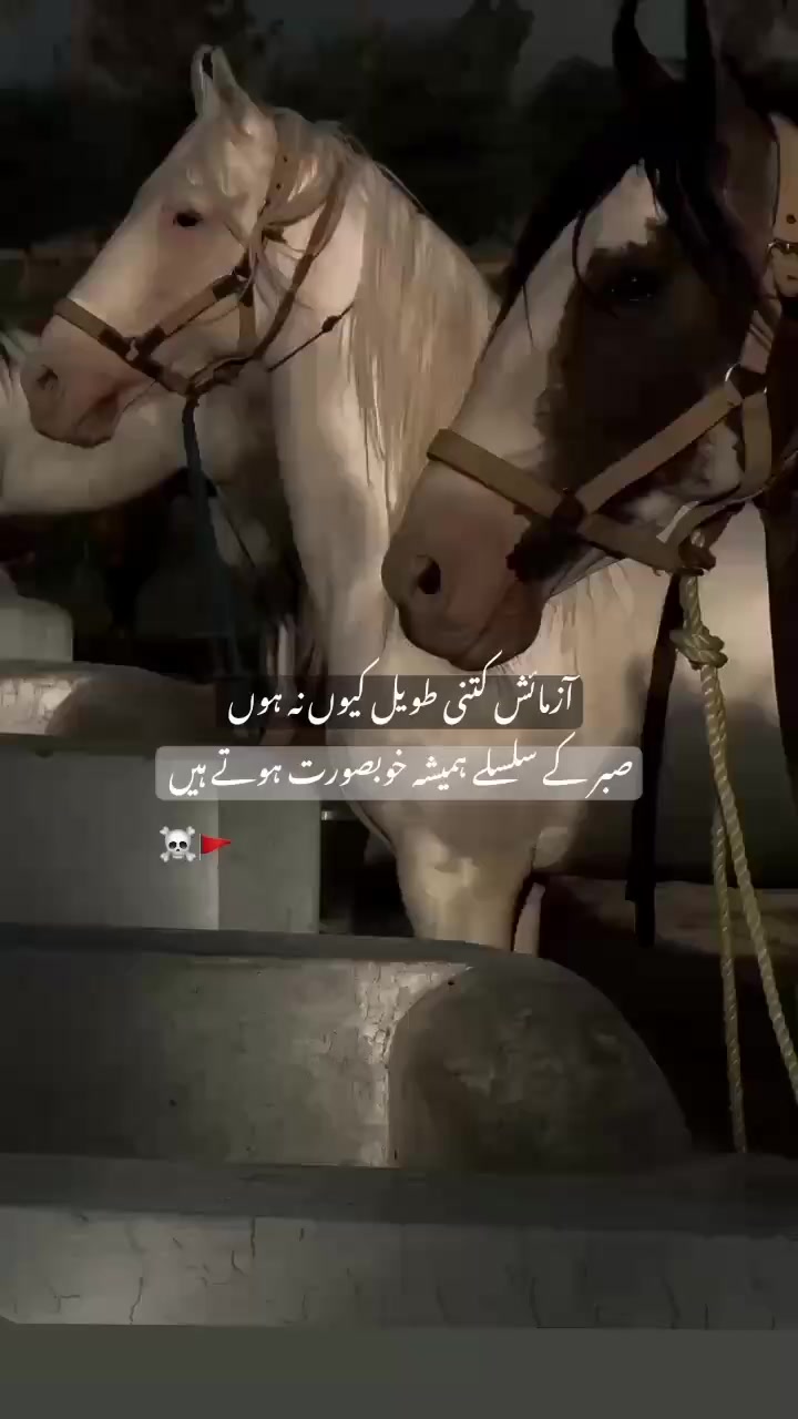 @مغل ♕