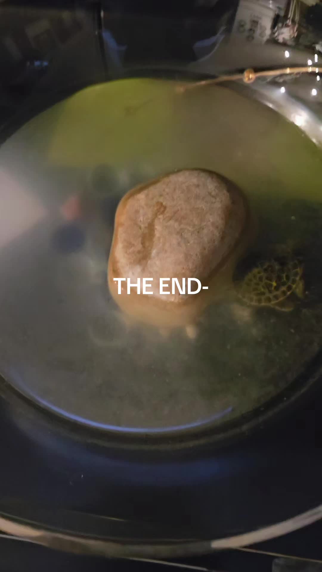 @[ʙᴜᴅᴅʜᴀ] ᶠʳᵉᵉᶠᶦʳᵉ