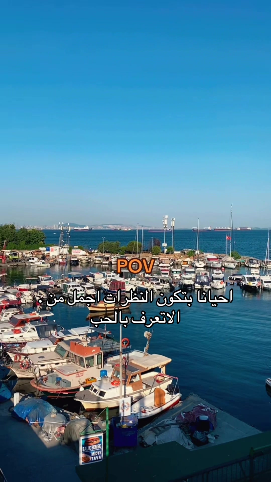@𝒜𝓁𝒾/علي