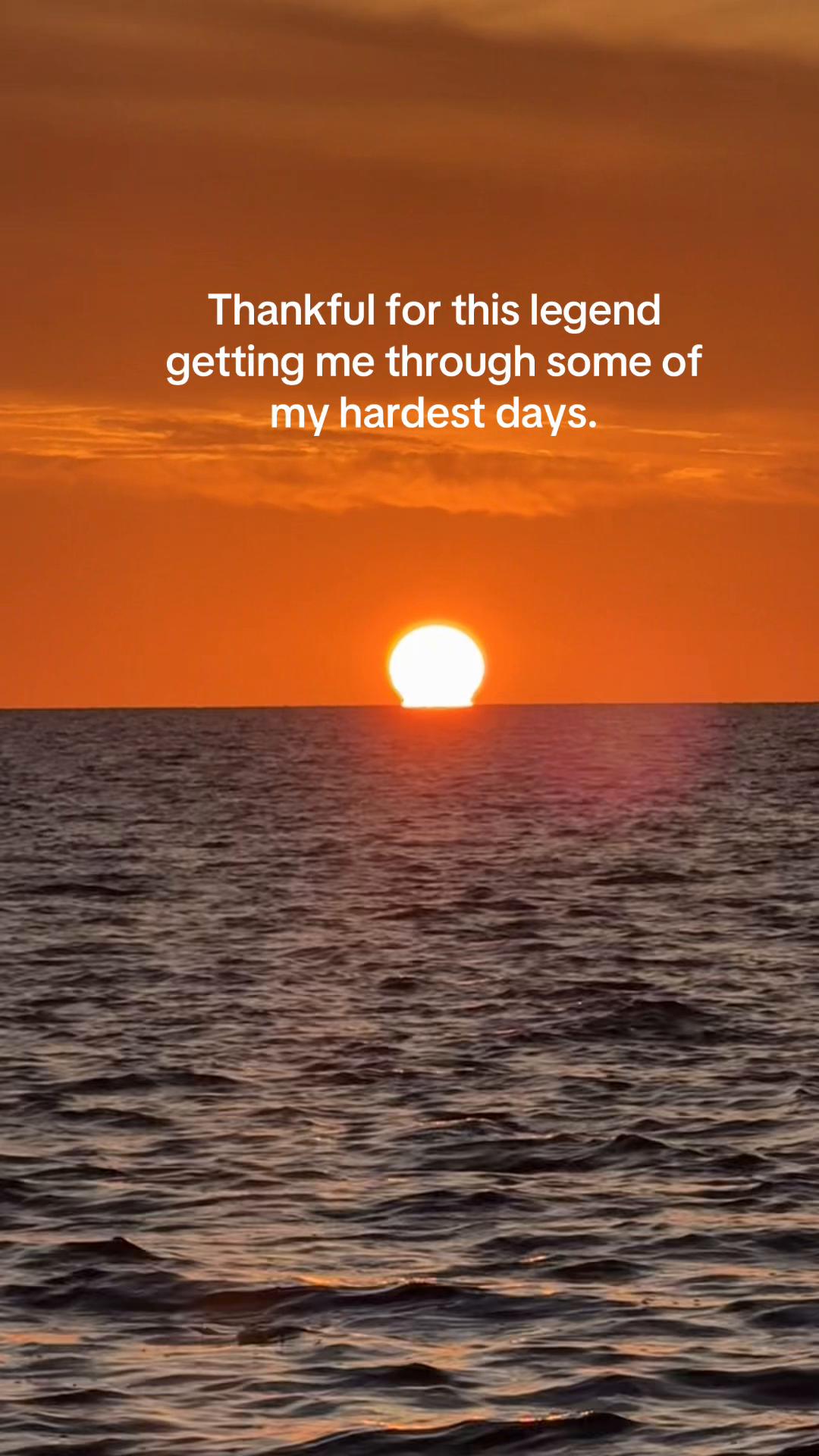 @jayviolajay