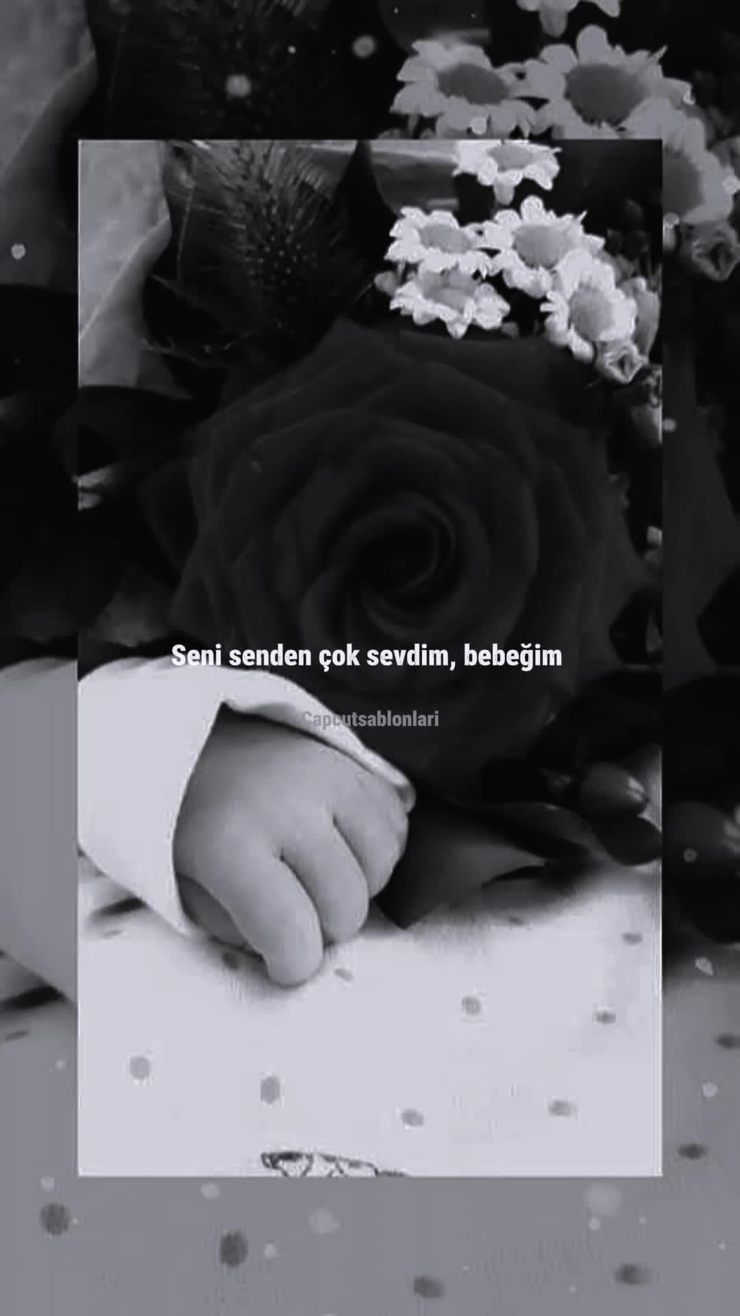 @🌼Zahra🌼