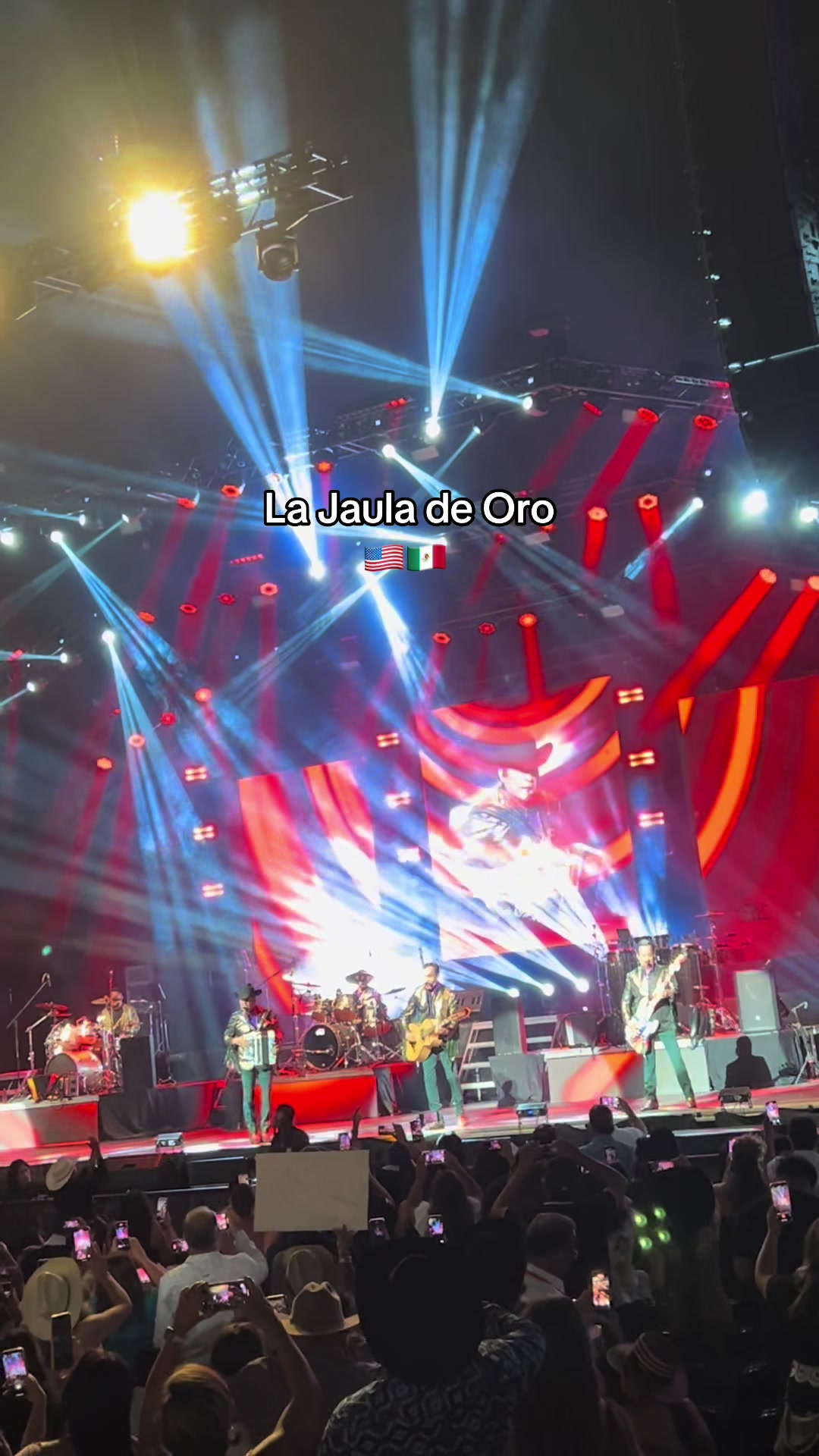 @Nataly MV