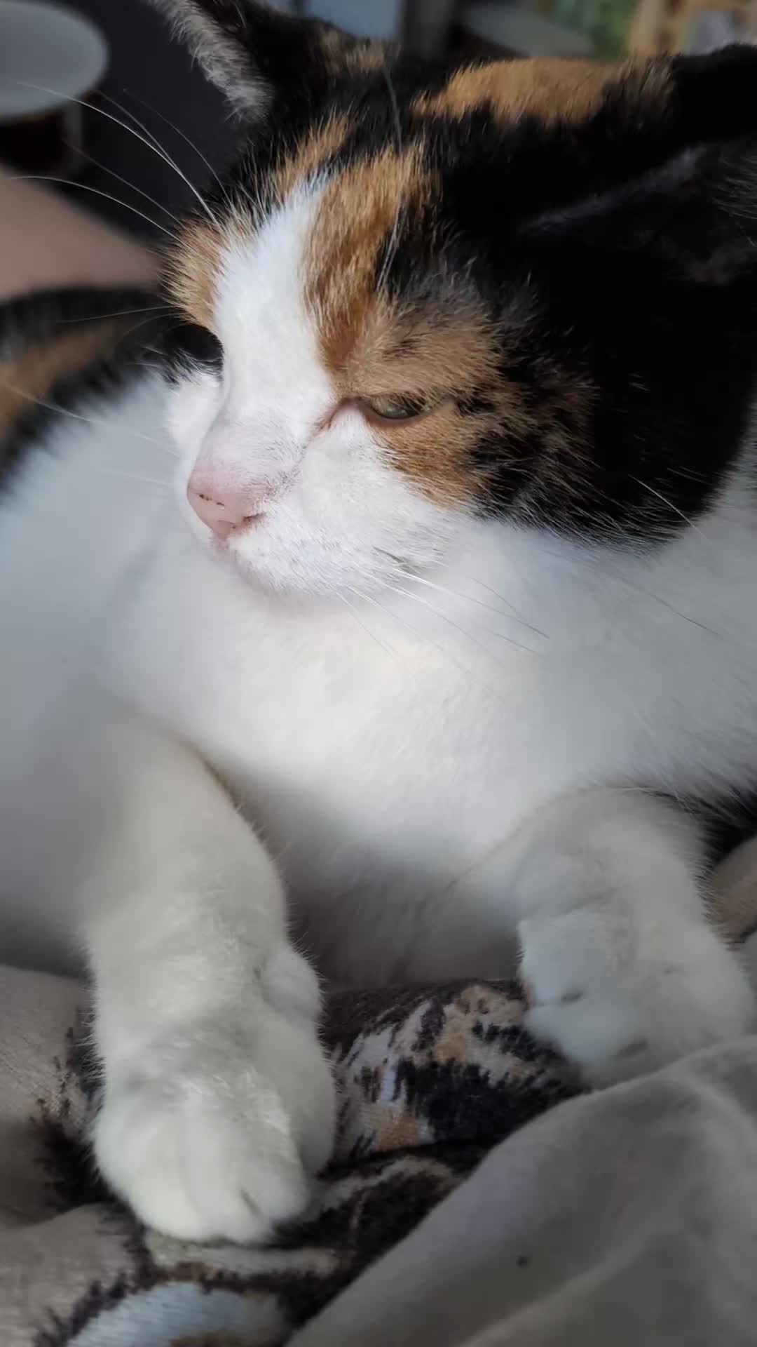 @Paulisbuntewelt