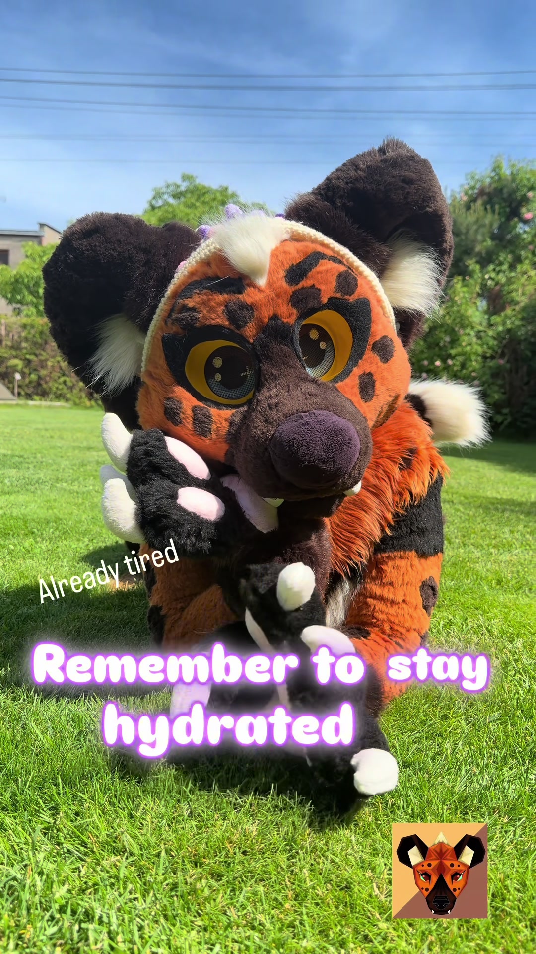 @CoverWithFur