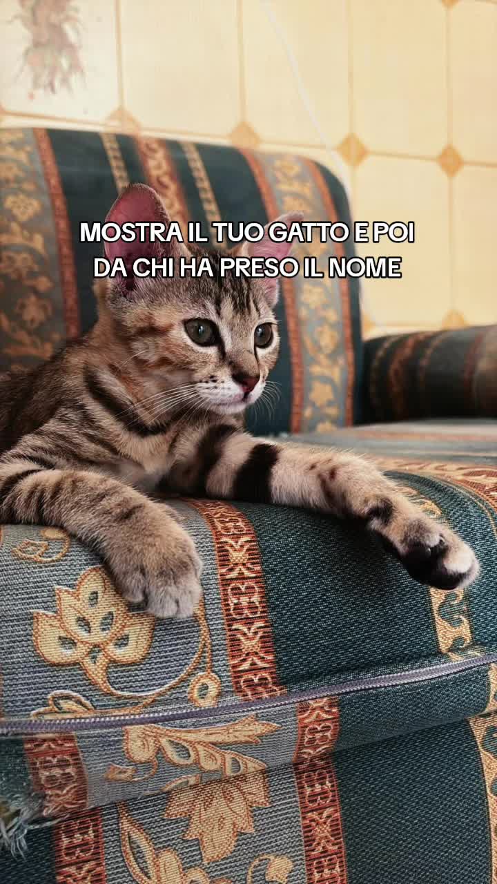 @Rosyspallino