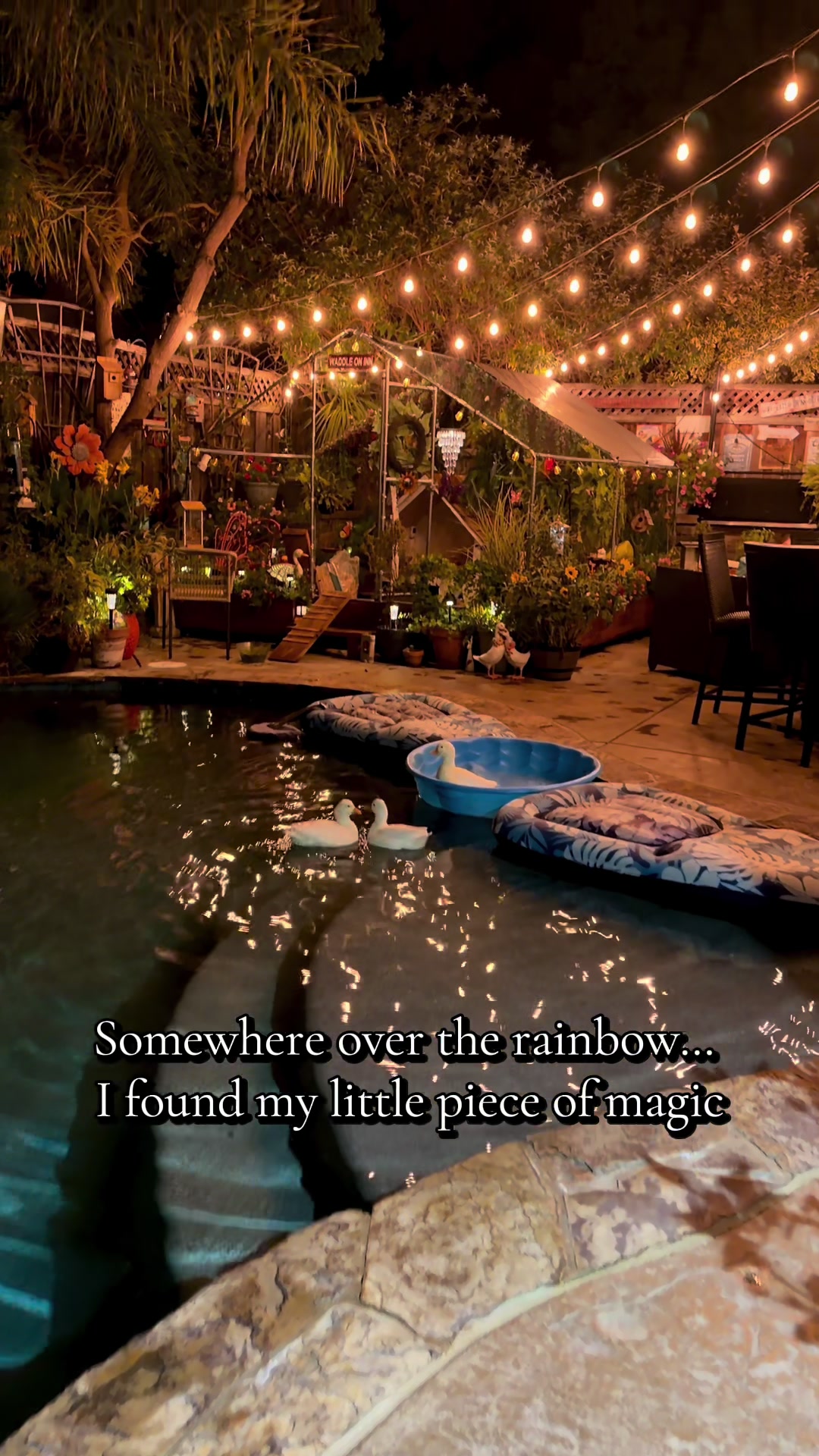@Sherry&rsquo;s Backyard Sanctuary