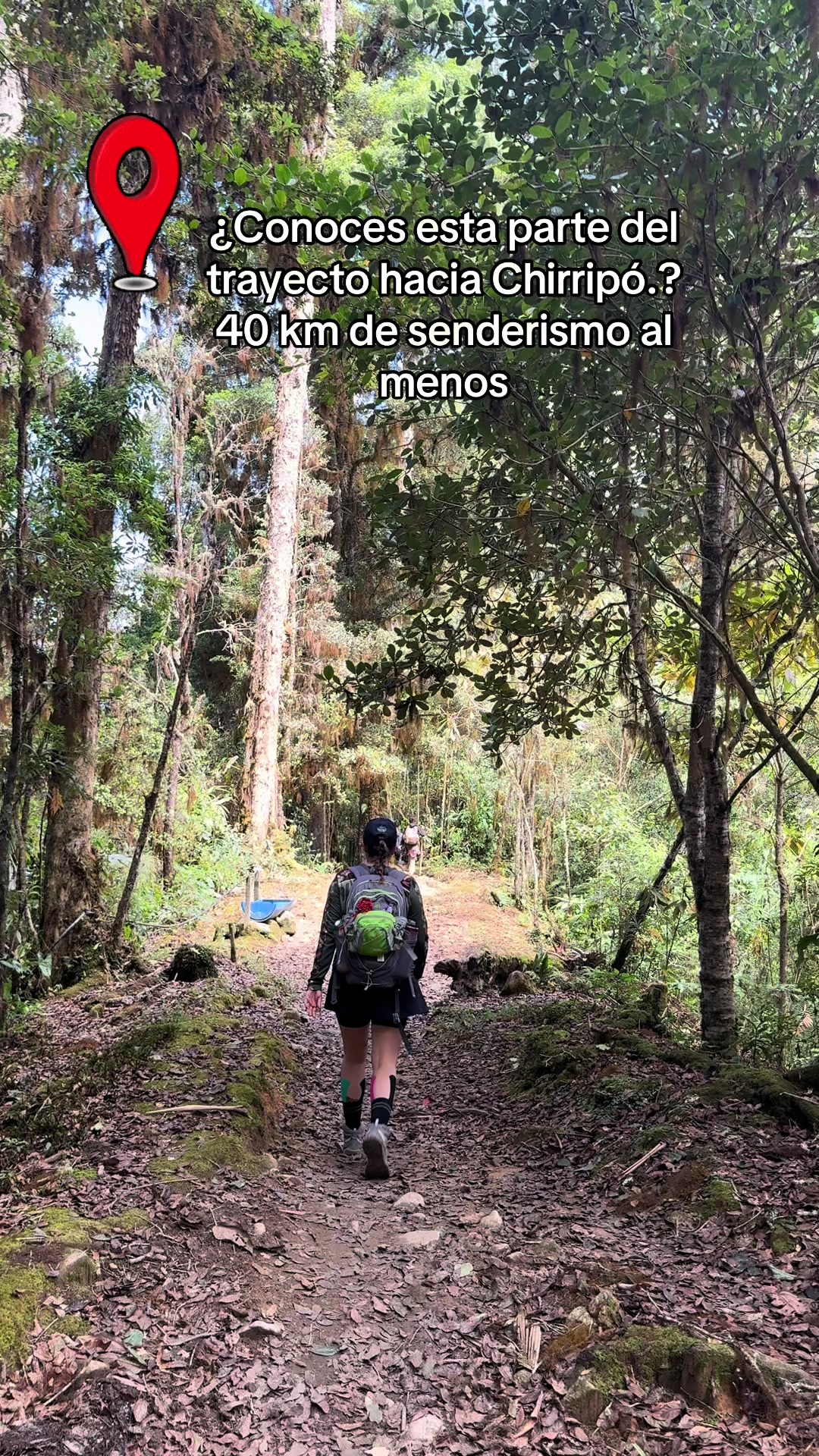 @Oxigenia Buseta Costa Rica