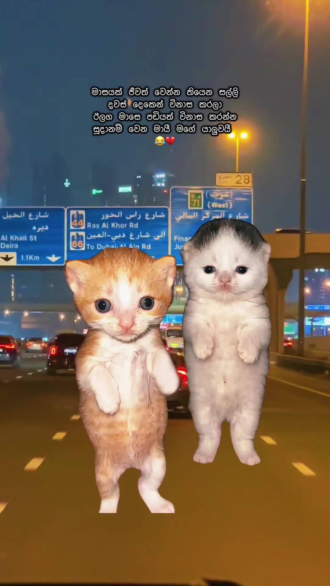 @🇱🇰 චමුවා 🇦🇪