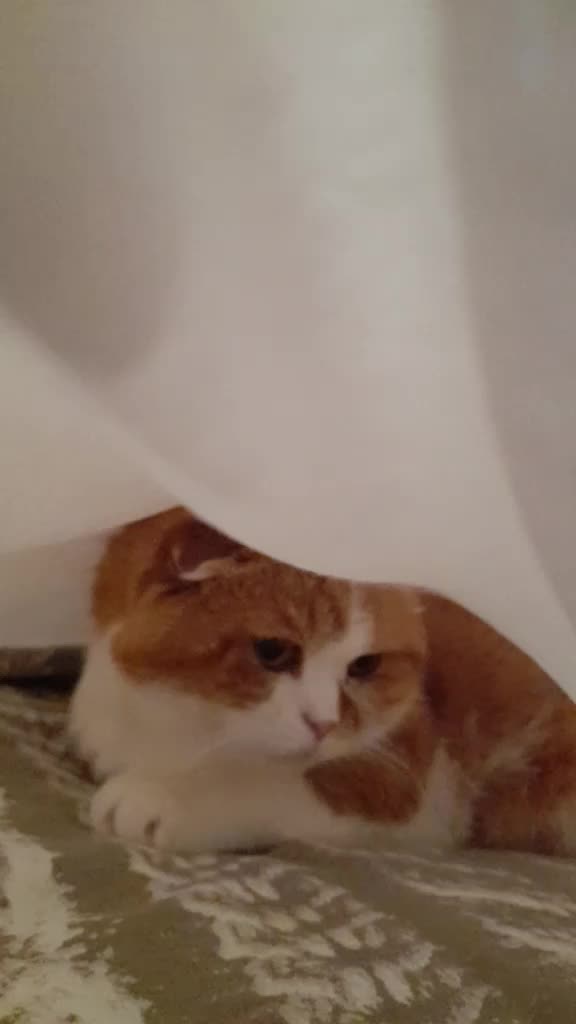 @Anneke & Simba