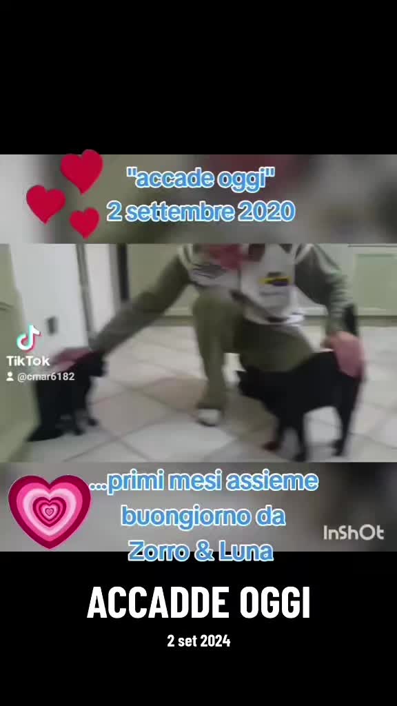 @CMAR61