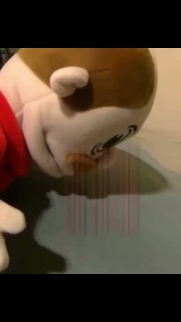 @Pocoyo