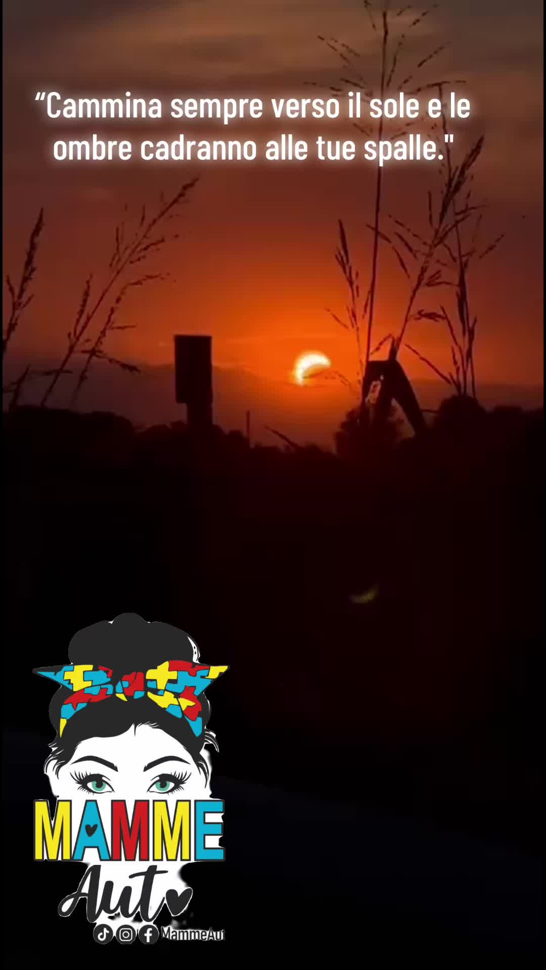 @MammeAut