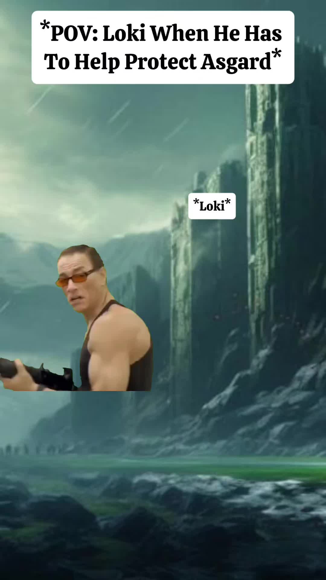 @Shelley Seeker