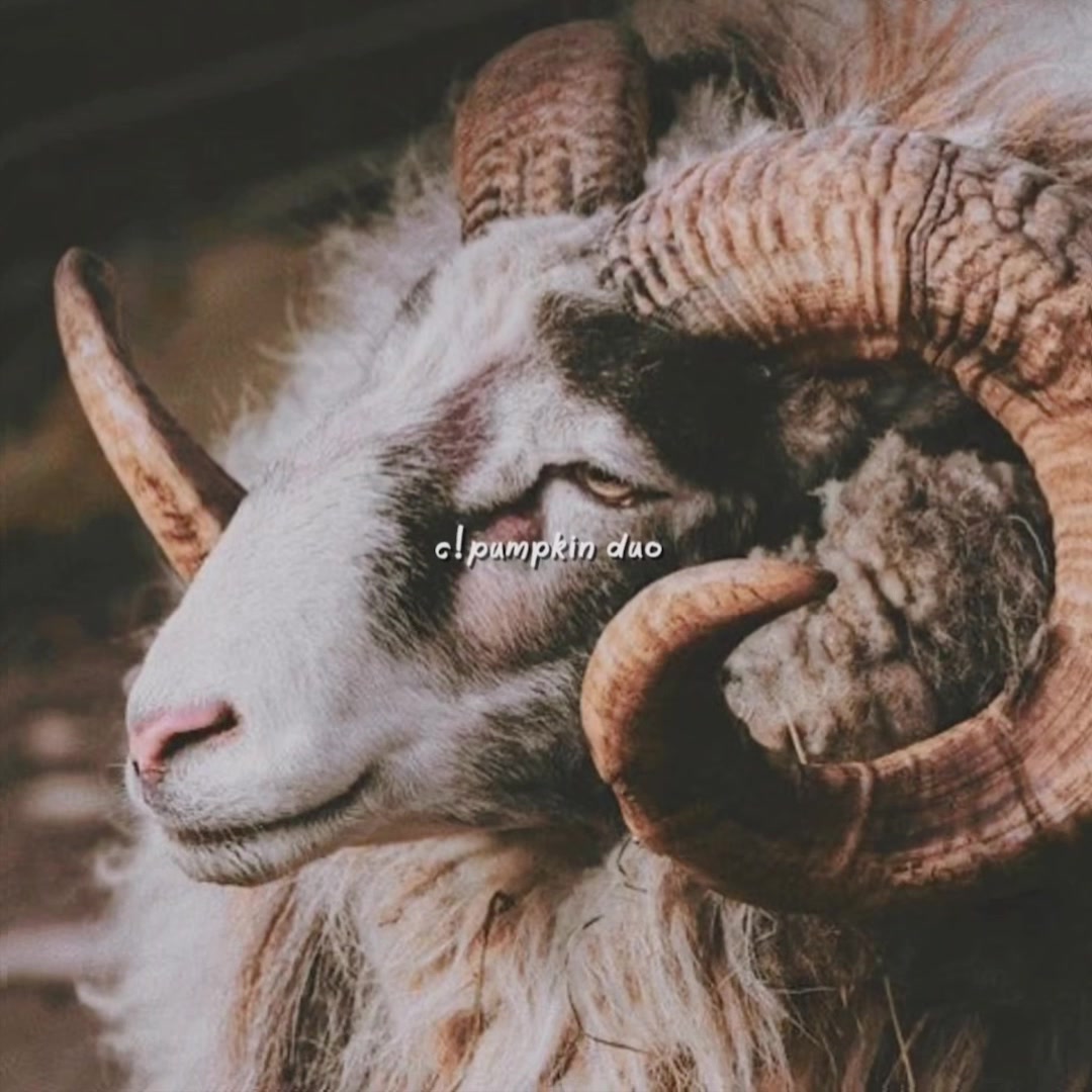 @◟ . ݁ 𝒯𝑒ԃ ♡