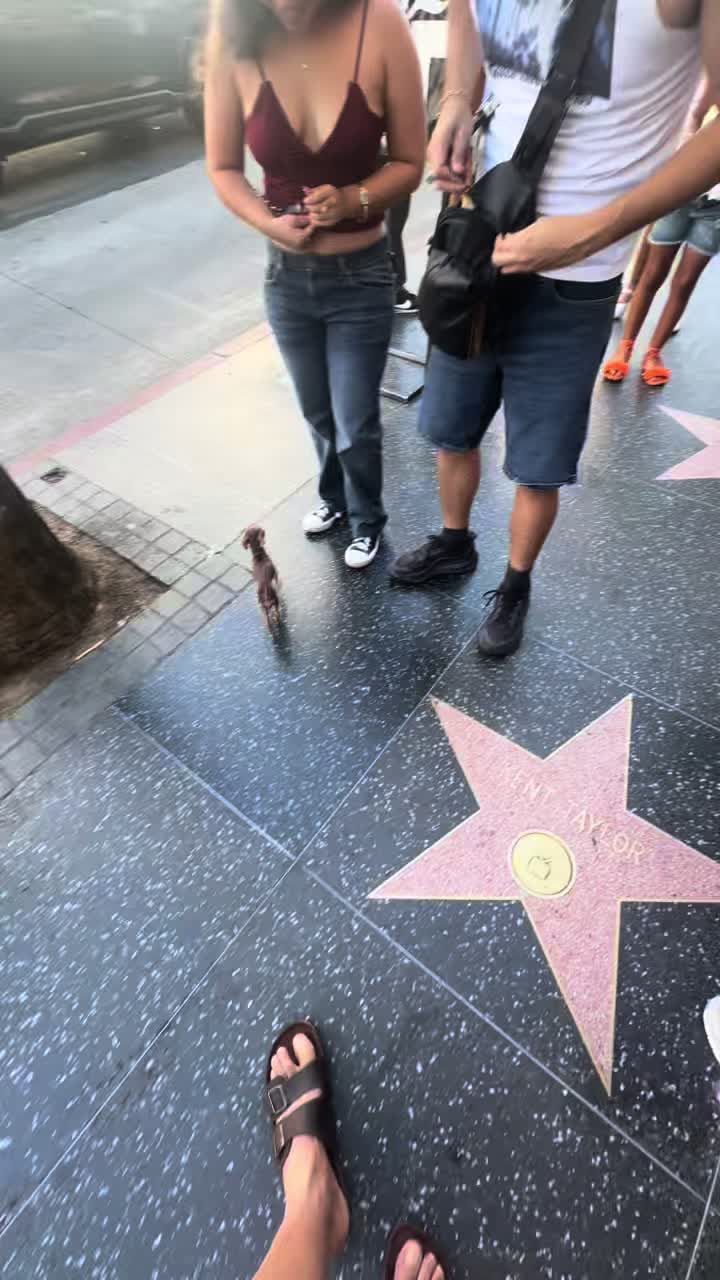 @mini.mew.offical