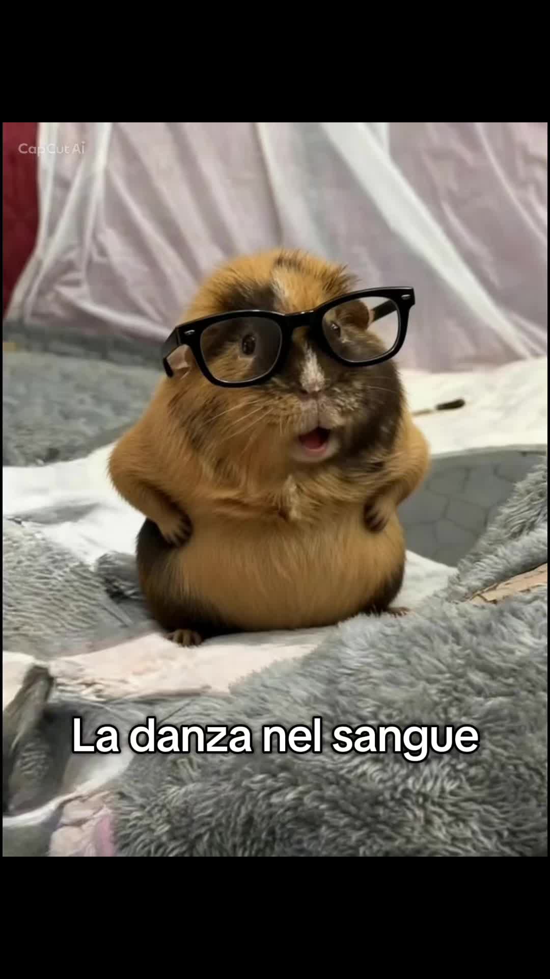 @La Rattara