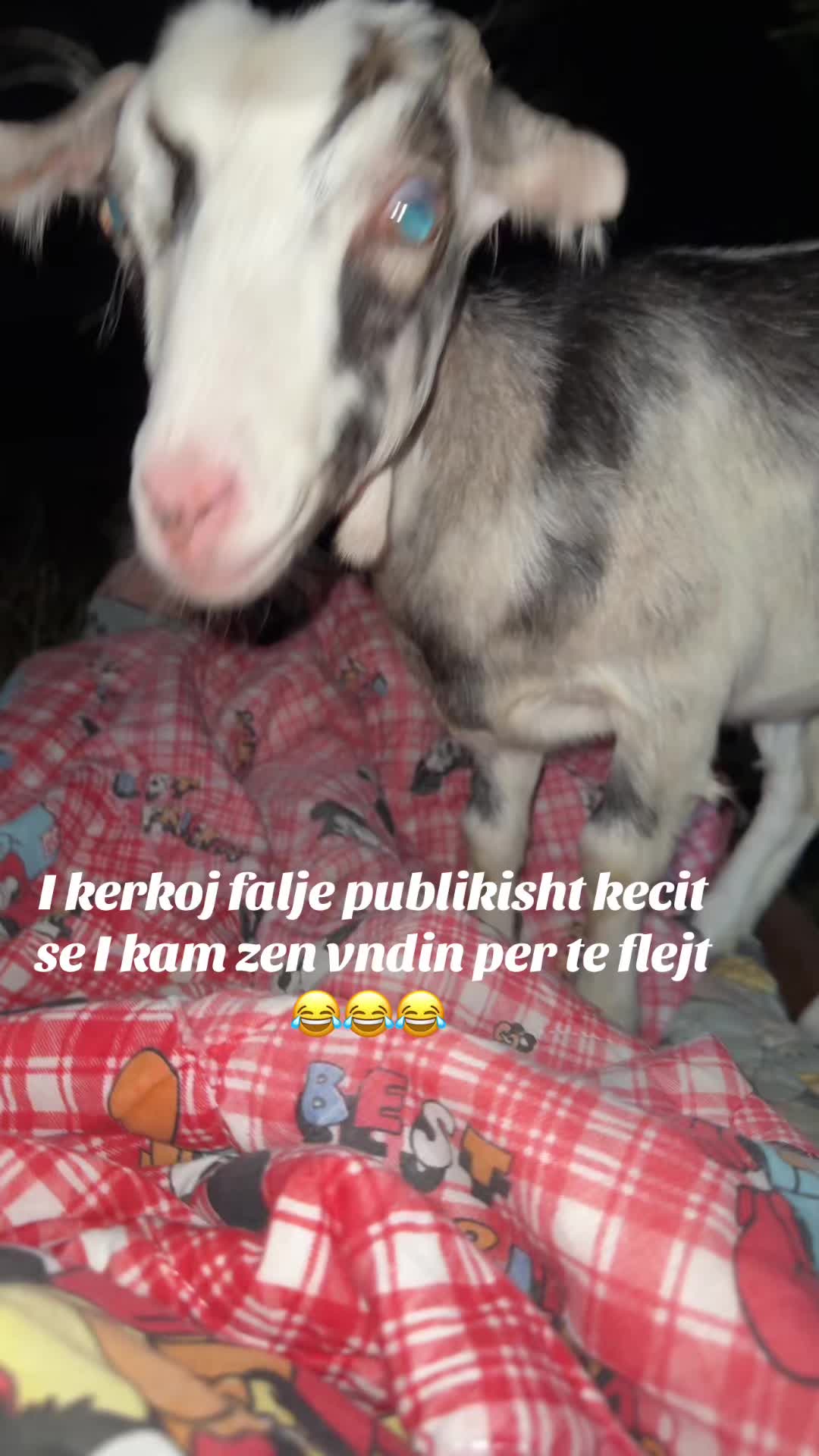 @STANI_COBANIT😍