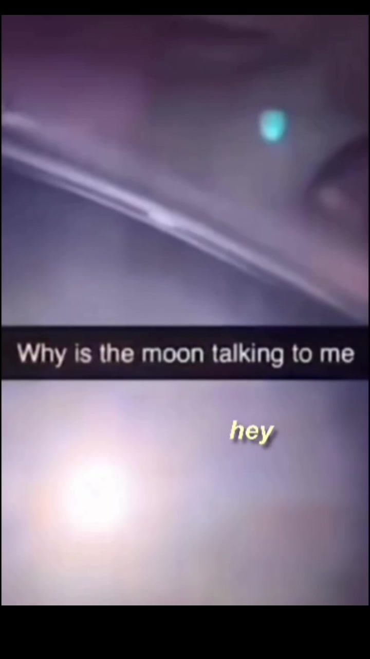 @TheFatMemes