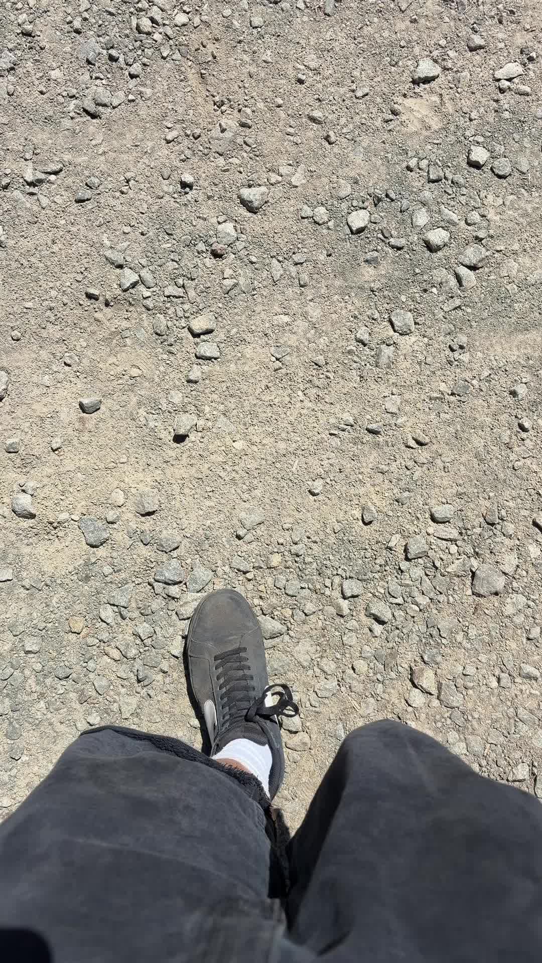 @fartbug0