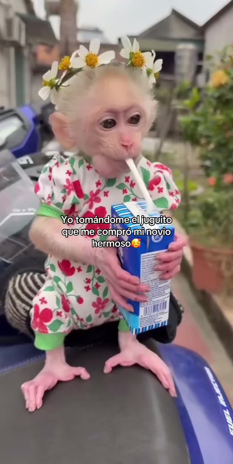 @jaremonox