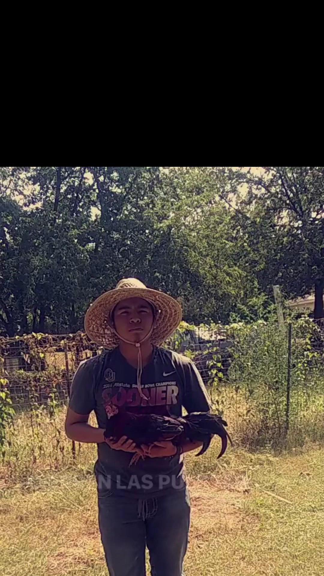 @ElPalmaritoGAMEFARM