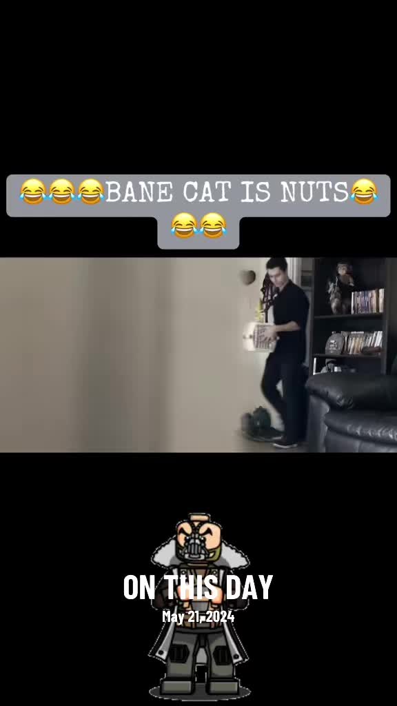 @Angry Man Reviews😖😤