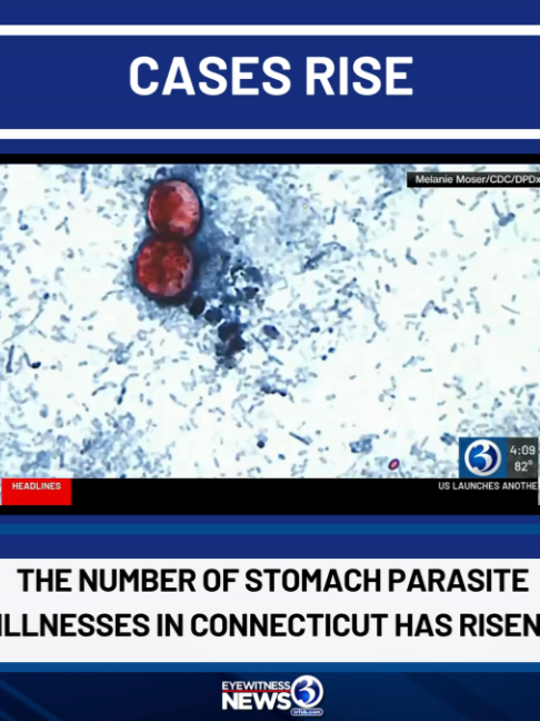@wfsbnews