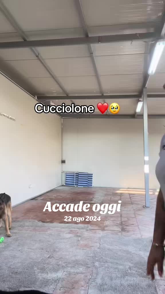 @Massy98