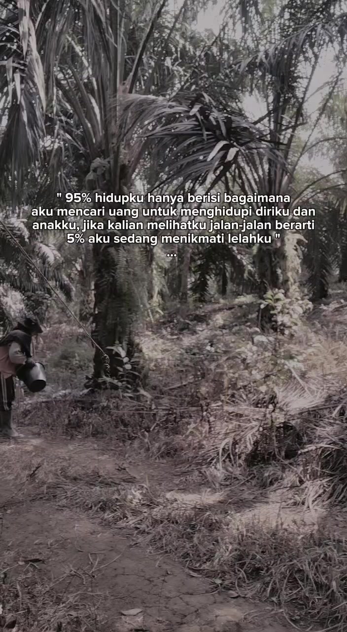 @supek paibo