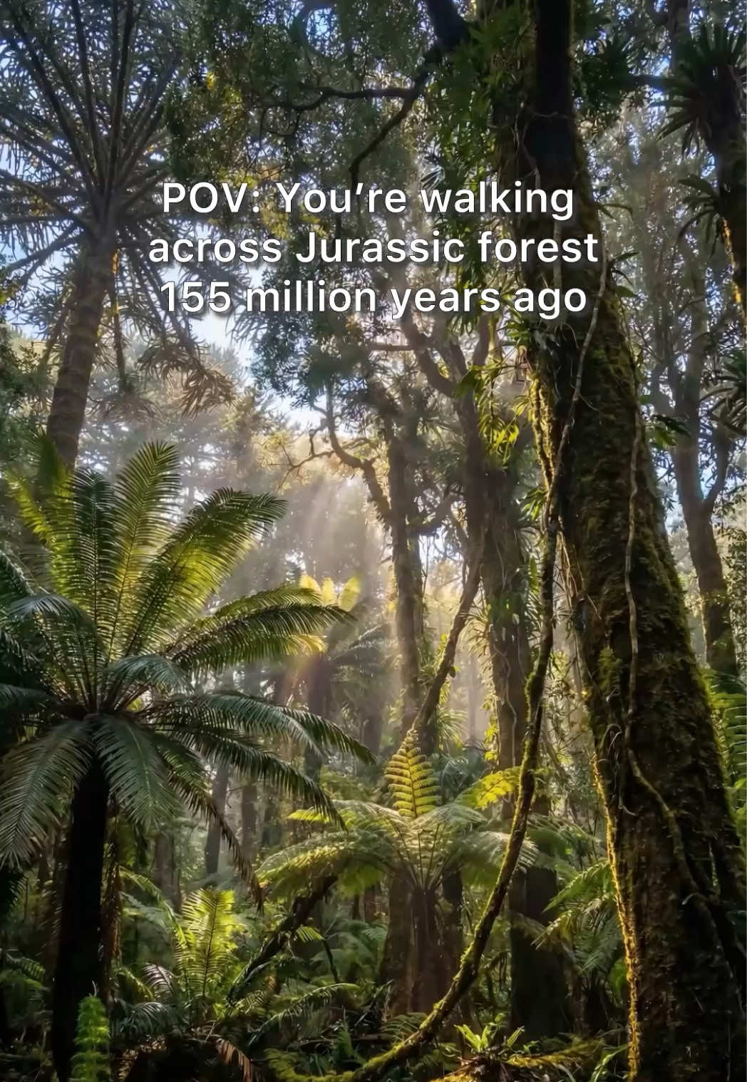 @Primeval Planet