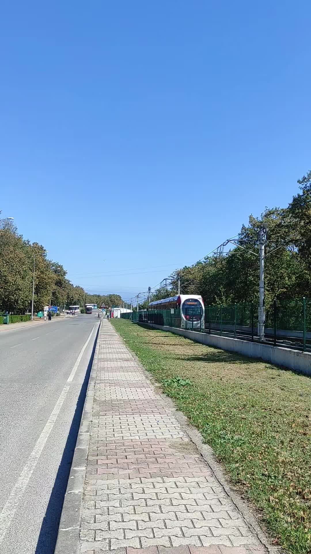 @arzukrsln